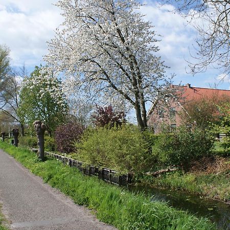 Gastenverblijf De Natureluur Noorden Esterno foto