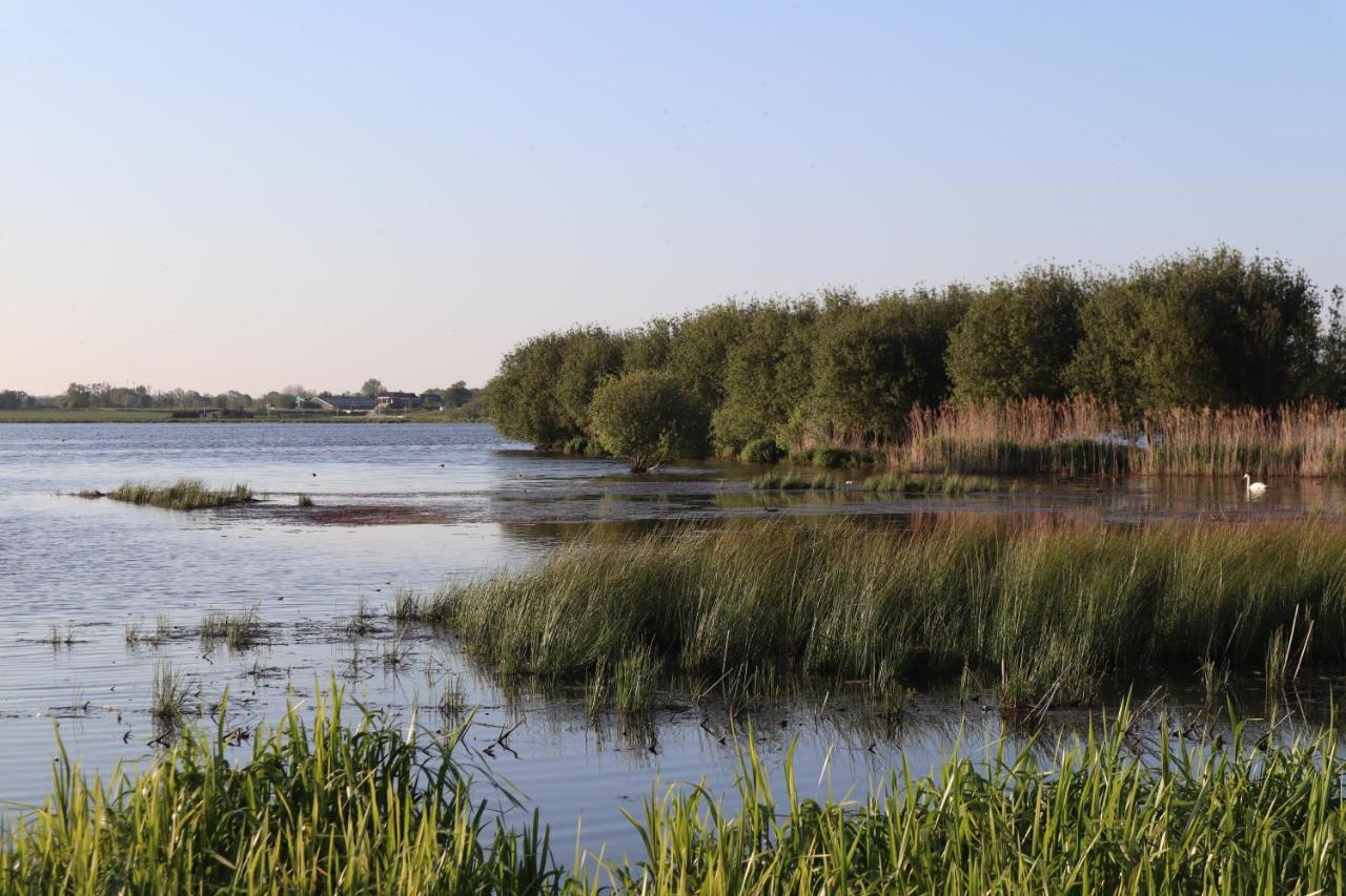 Gastenverblijf De Natureluur Noorden Esterno foto