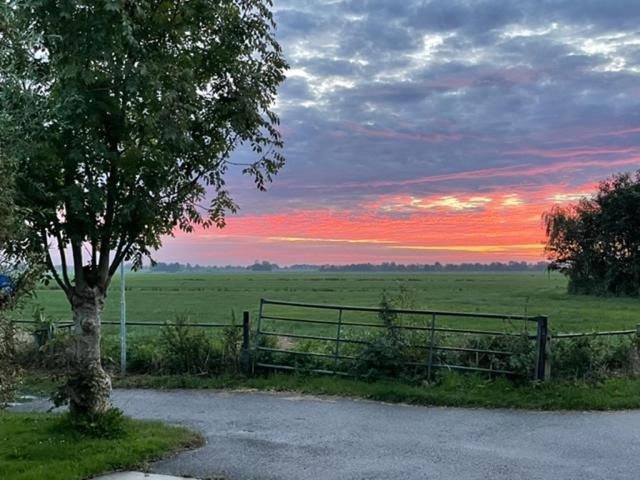 Gastenverblijf De Natureluur Noorden Esterno foto