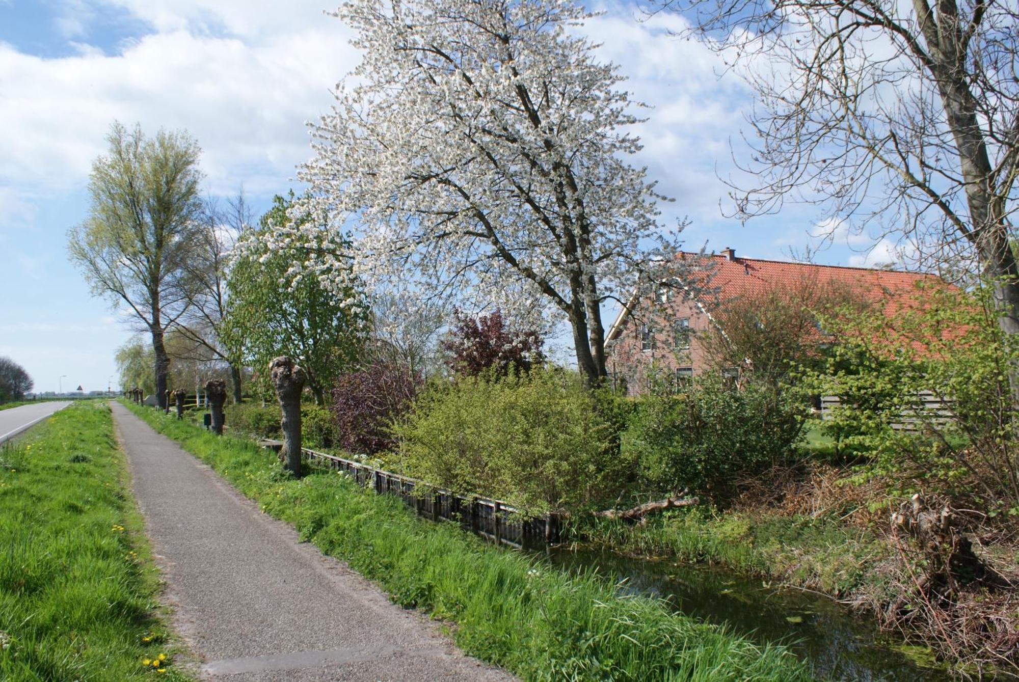 Gastenverblijf De Natureluur Noorden Esterno foto