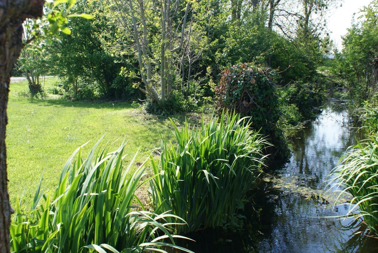 Gastenverblijf De Natureluur Noorden Esterno foto
